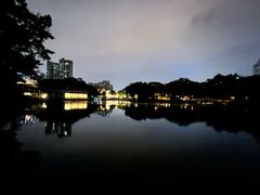 -荔湾湖公园