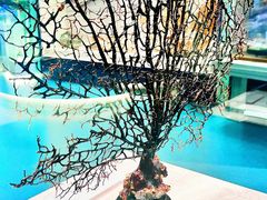 -上海中国航海博物馆