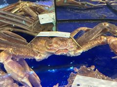 -蟹道乐(道顿堀本店)