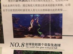 -江和美海洋公园