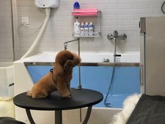 -喵汪宠物生活馆(涞坊路店)