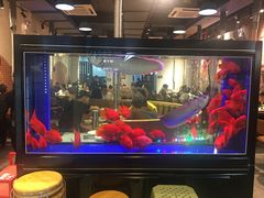 -釜山火炉韩式炭火烤肉(欧洲城店)