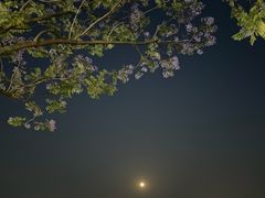 -泸州万象汇