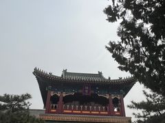 -天津大悲禅院