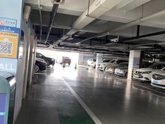-上海海昌海洋公园-停车场