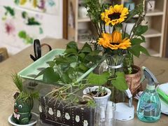 -世纪飞马幼儿园(西城校区)