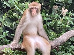 -广州长隆野生动物世界