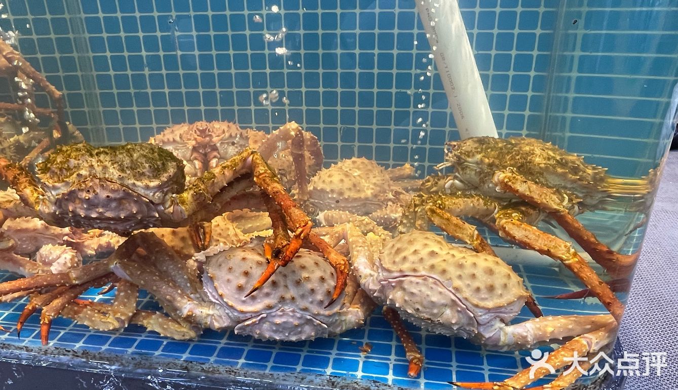 八市海鲜🦞