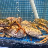八市海鲜🦞