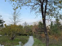 -禅宗少林·音乐大典