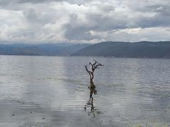 -大理洱海