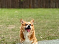 -Manner Coffee(徐汇滨江店)