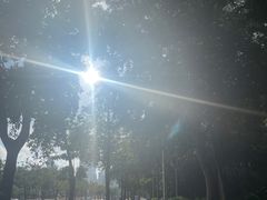 -深圳湾公园(南山区)