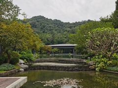 -云溪植物园