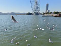 -蠡湖大桥公园
