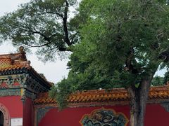 -沈阳市东陵公园