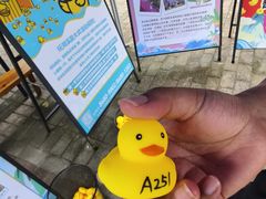 -南海湾森林生态园
