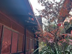 -峨眉山报国寺