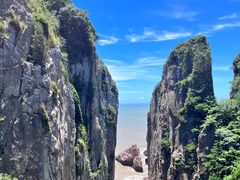 -桃花岛风景旅游区