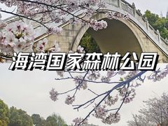 -上海海湾国家森林公园