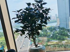 -皇朝万鑫自助餐厅