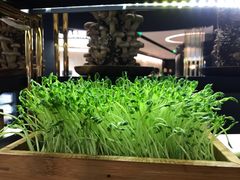 -椰子营·椰子鸡火锅(万象里店)
