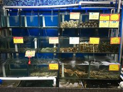 水产区-蚝专家(北滘店)