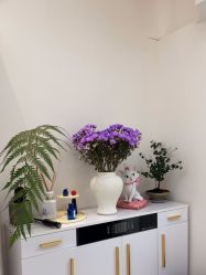 -WENDY·温迪皮肤管理