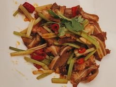 -鲁宴·鲁煨黄河生态大鲤鱼(月坛店)