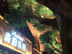 -杭州开元森泊度假乐园