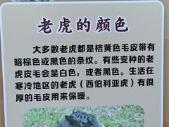 -深圳野生动物园