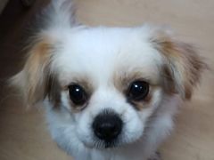 -益友堂盲人推拿正骨穴位按摩工作室