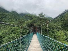 -遂昌金矿国家矿山公园