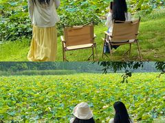 -艾溪湖湿地公园