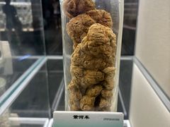 -广东中医药博物馆