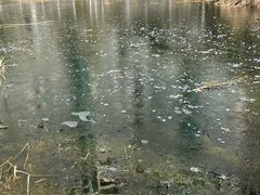 -西北湖绿化广场