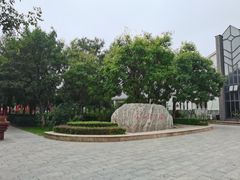 -杨柳青庄园