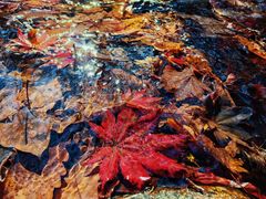 -本溪老边沟风景区