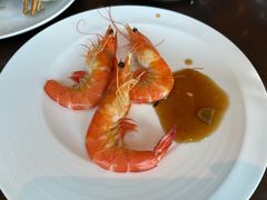 -Social 秀西餐厅-长沙瑞吉酒店(运达店)