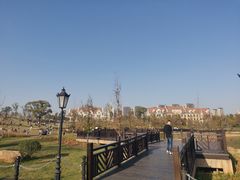 -九龙湖公园