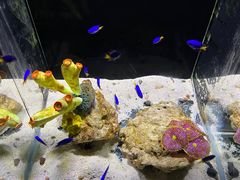 -邯郸海洋世界