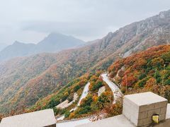 -白草畔自然风景区