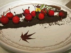 -亮宝楼国宴+文化陕菜