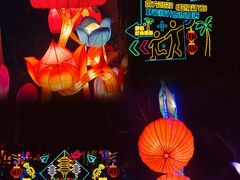 -欢乐海岸椰林沙滩-2025湾区超级灯会