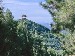 -龙口南山旅游景区
