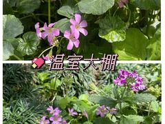 -国家植物园南园