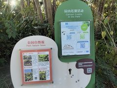 -福田红树林生态公园