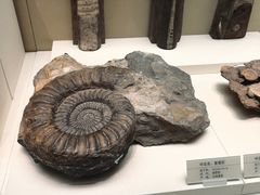 -天津自然博物馆