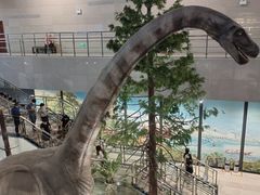 -湖南省地质博物馆