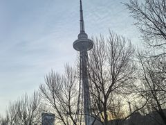 -龙塔
